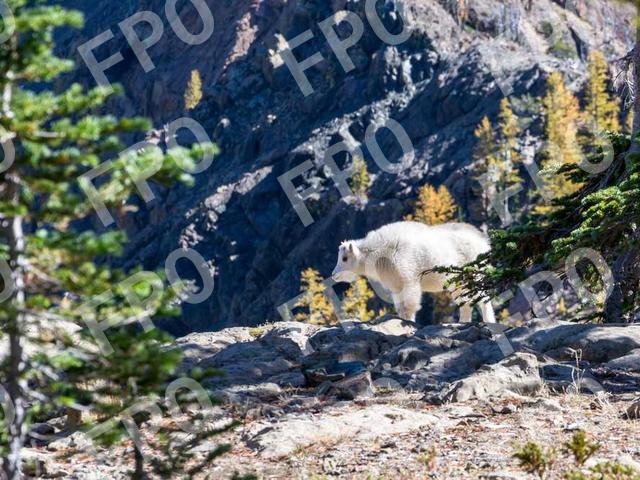 Larger Jets to Dallas-Ft. Worth coming to CIRA