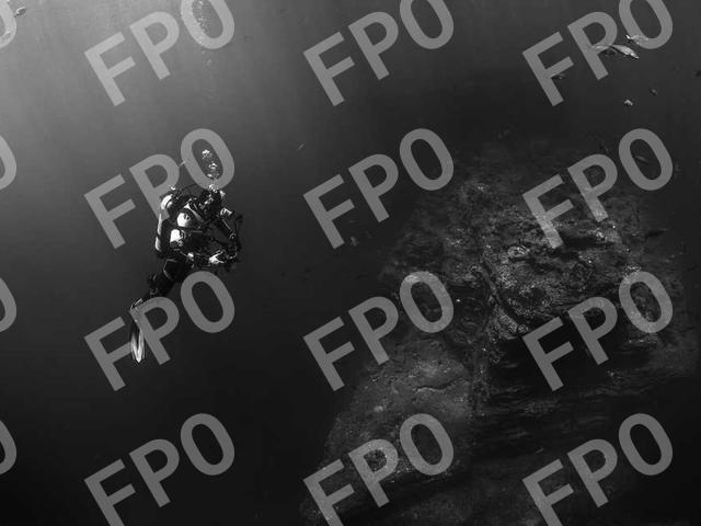 CIRA to Host TSA Pre✓® Temporary Enrollment Center