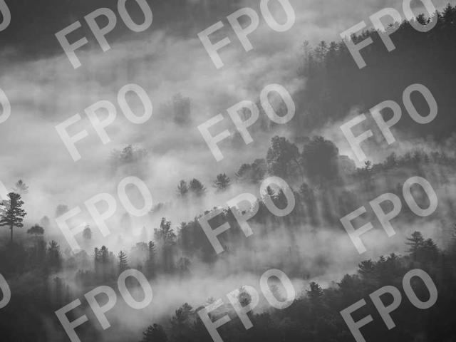 Diane Andes Finney, Chief Financial Officer at CIRA, to Retire