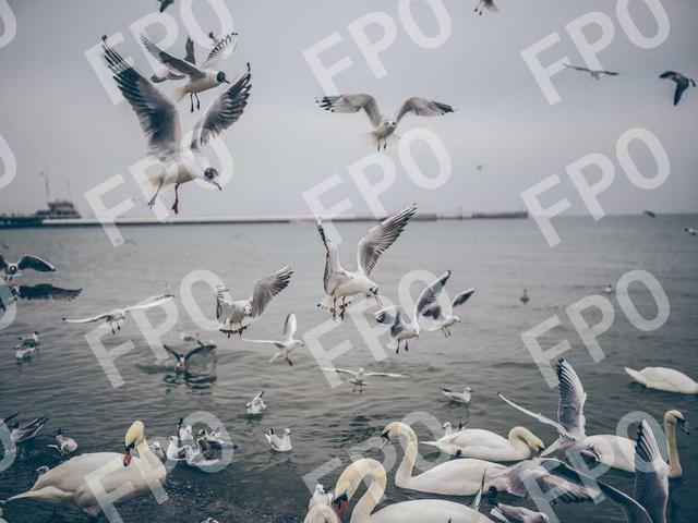 TSA Pre✓® Arrives at Central Illinois Regional Airport