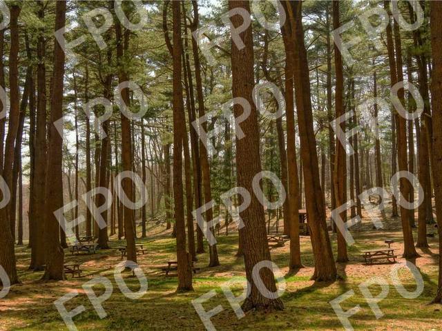 May 7-11, 2018 TSA PreCheck Enrollment Event