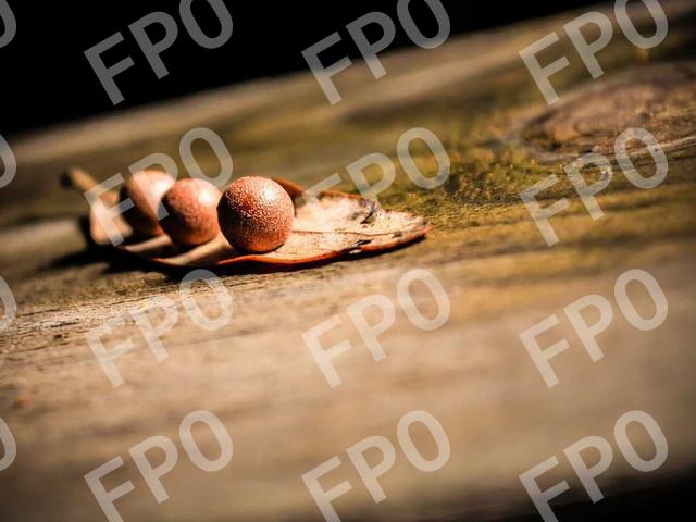 Central Illinois Regional Airport Earns Perfect FAA Inspection