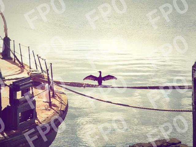 June 2019 TSA Pre✓® Temporary Enrollment Center Event scheduled at Central Illinois Regional Airport