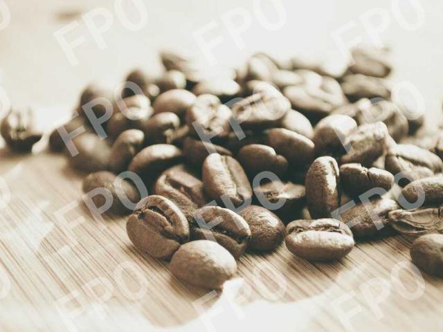 Grand Opening for the New Public Lounge at Central Illinois Regional Airport