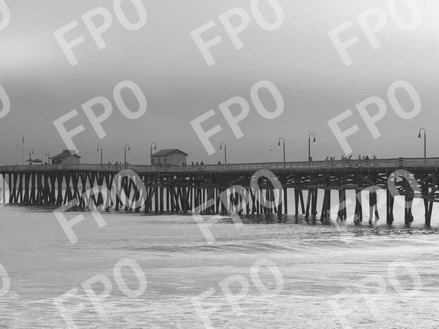 August 2020 TSA Pre✓® Temporary Enrollment Center Event  – CANCELLED