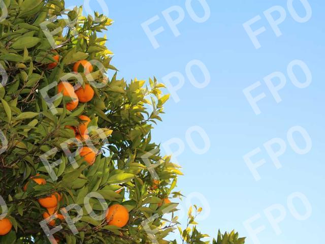 TSA Pre✓® Temporary Enrollment Center Event at CIRA March 1-5, 2021