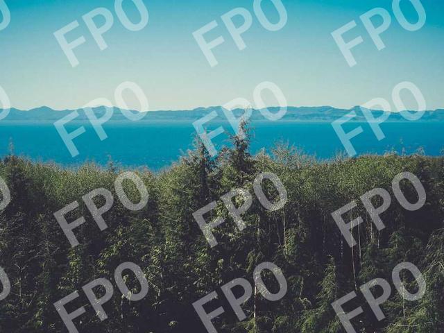 CIRA Joins Hidden Disabilities Sunflower Program