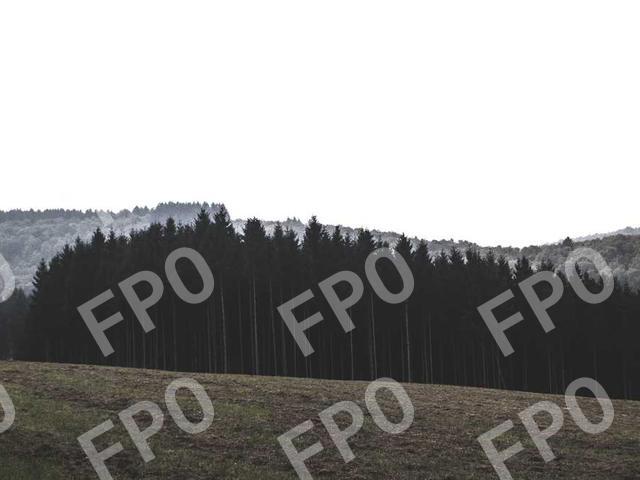 Central Illinois Regional Airport Receives $3.3 Million from Rebuild Illinois