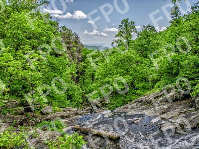 TSA Pre✓®Enrollment Events 2024