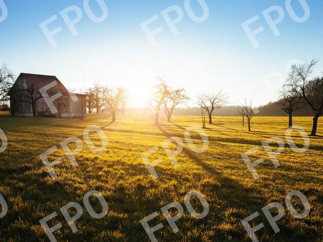 TSA Pre✓®Enrollment Events 2024 – UPDATE